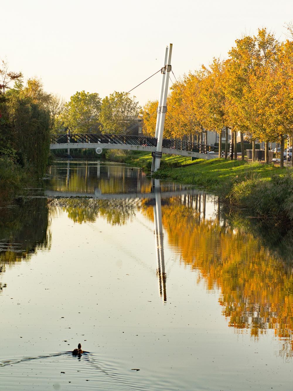 04_IMG_6785_01Hangbrug_1__1.jpg